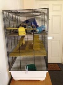 free stuff to be freecycled hamster cage